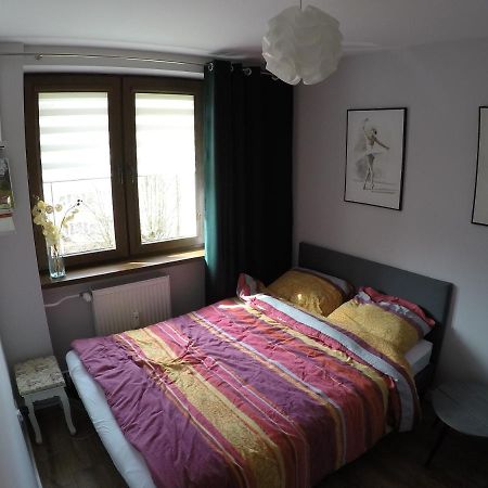 Apartament Bieszczady Appartement Ustrzyki Dolne Buitenkant foto
