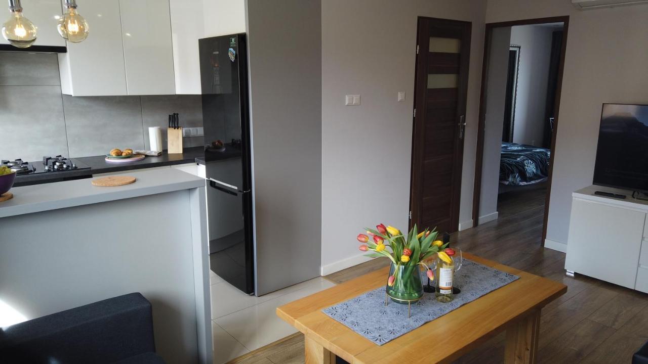 Apartament Bieszczady Appartement Ustrzyki Dolne Buitenkant foto