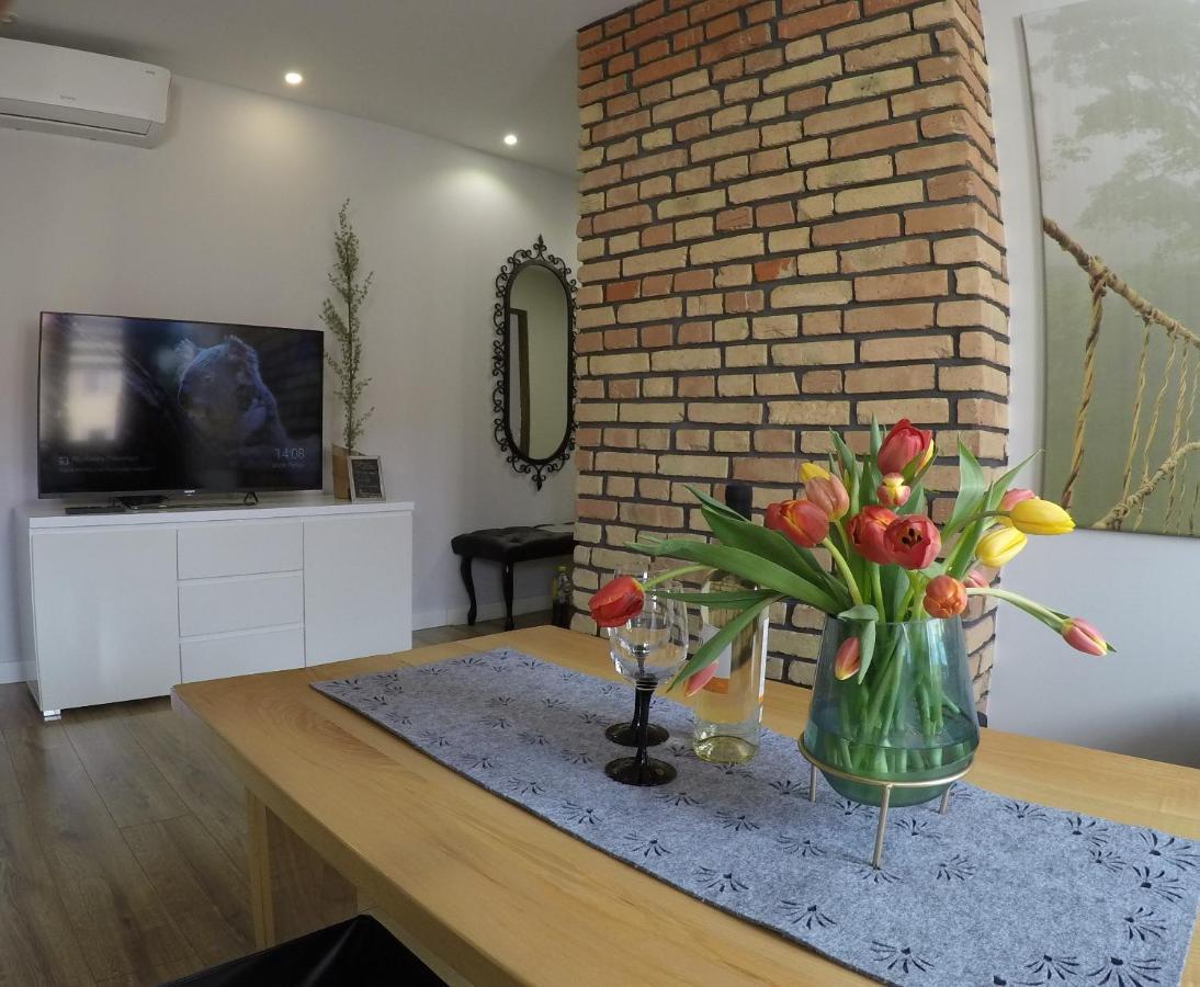 Apartament Bieszczady Appartement Ustrzyki Dolne Buitenkant foto