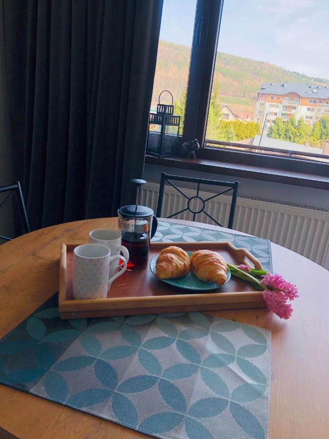 Apartament Bieszczady Appartement Ustrzyki Dolne Buitenkant foto
