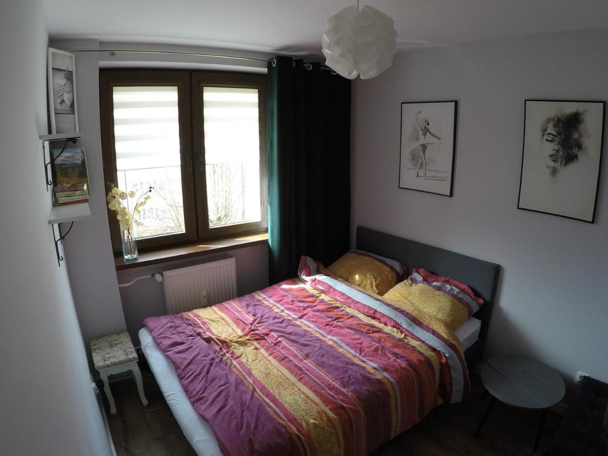 Apartament Bieszczady Appartement Ustrzyki Dolne Buitenkant foto